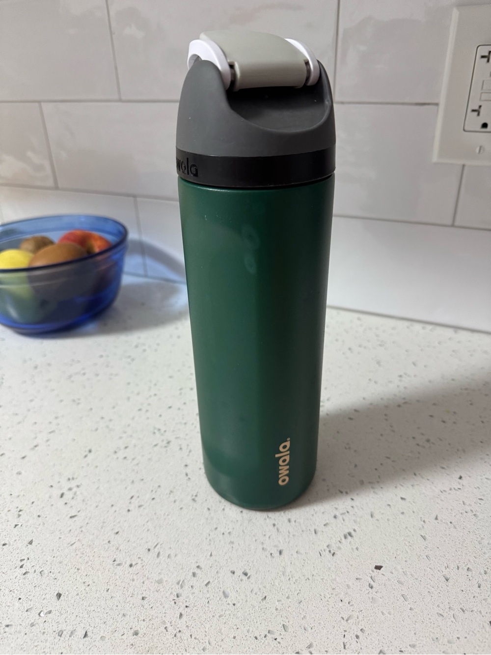 Owala Stainless Steel Forest Green Water Bottle with Gray Lid